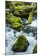 Premium Photographic Print