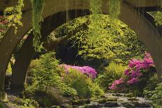 Portland Japanese Garden in Early Autumn: Portland Japanese Garden, Portland, Oregon, USA-Michel Hersen-Photographic Print