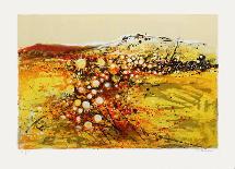 Soleil de Provence II-Michel Jouenne-Framed Limited Edition