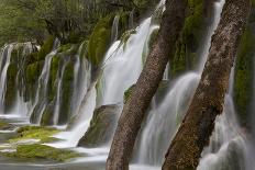 Jian Zhu Pu Bu (Arrow Bamboo Lake Waterfall), Jiuzhaigou National Park, Sichuan, China-Michel Roggo-Photographic Print