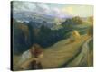 Stretched Canvas Print