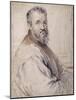 Michelangelo, Believed to Be after Bugiardini or Federico Zuccaro-Sir Anthony Van Dyck-Mounted Giclee Print