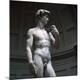 Premium Photographic Print