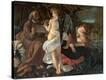 Stretched Canvas Print