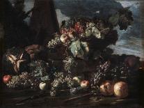 Still Life with Grapes, 17th Century-Michelangelo Pace del Campidoglio-Giclee Print