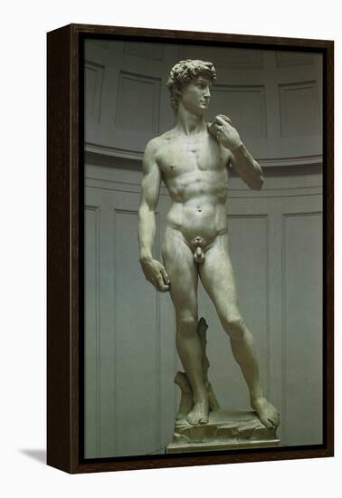 Michelangelo's David, 1502-Michelangelo Buonarroti-Framed Premier Image Canvas