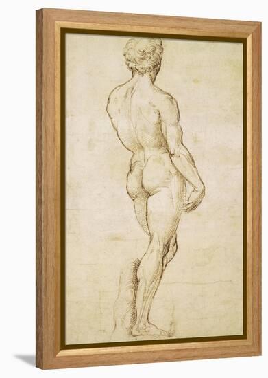 Michelangelo's David-Raphael-Framed Stretched Canvas