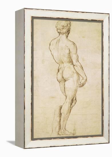 Michelangelo's David-Raphael-Framed Stretched Canvas