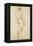 Michelangelo's David-Raphael-Framed Stretched Canvas