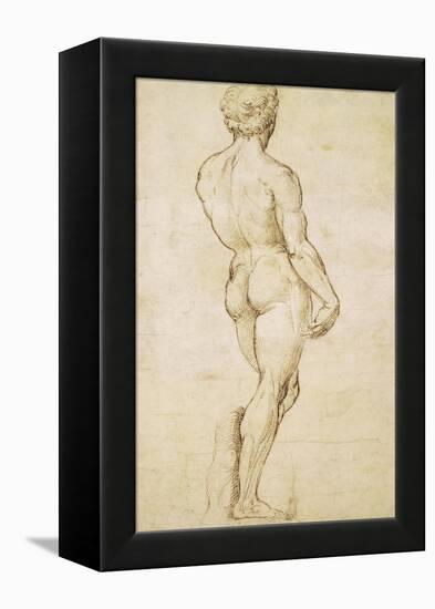 Michelangelo's David-Raphael-Framed Stretched Canvas