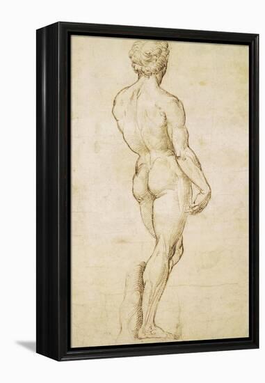 Michelangelo's David-Raphael-Framed Stretched Canvas