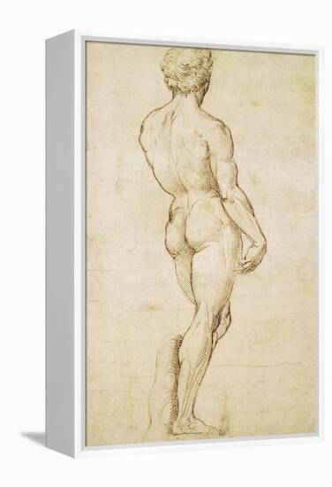 Michelangelo's David-Raphael-Framed Stretched Canvas