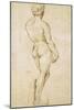 Michelangelo's David-Raphael-Mounted Art Print