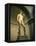 Michelangelo's Statue of David, Florence, Tuscany, Italy-Michael Jenner-Framed Premier Image Canvas