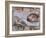 Michelangelo, the Creation of Adam in the Sistine Chapel, Vatican, Rome, Lazio, Italy, Europe-Rainford Roy-Framed Photographic Print