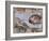 Michelangelo, the Creation of Adam in the Sistine Chapel, Vatican, Rome, Lazio, Italy, Europe-Rainford Roy-Framed Photographic Print