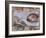 Michelangelo, the Creation of Adam in the Sistine Chapel, Vatican, Rome, Lazio, Italy, Europe-Rainford Roy-Framed Photographic Print