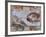 Michelangelo, the Creation of Adam in the Sistine Chapel, Vatican, Rome, Lazio, Italy, Europe-Rainford Roy-Framed Photographic Print