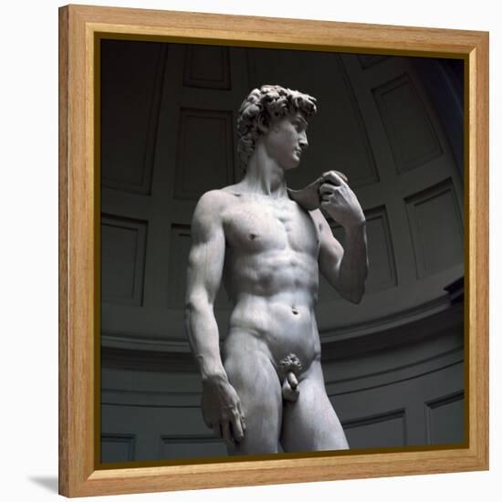 Michelangelos David-Michelangelo Buonarroti-Framed Stretched Canvas