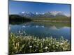 Photographic Print