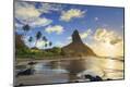 Photographic Print