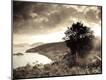 Photographic Print