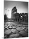 Premium Photographic Print