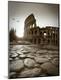 Premium Photographic Print