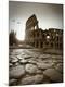 Premium Photographic Print