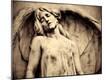 Photographic Print