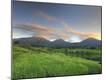 Photographic Print