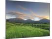 Photographic Print