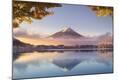 Photographic Print