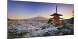 Premium Photographic Print