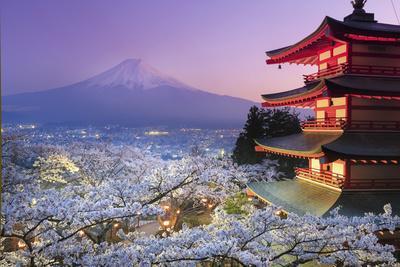 michele-falzone-japan-