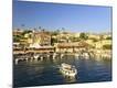 Photographic Print