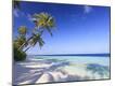 Premium Photographic Print
