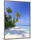 Premium Photographic Print