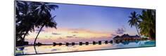 Premium Photographic Print