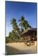 Premium Photographic Print
