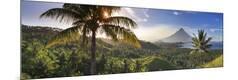 Photographic Print