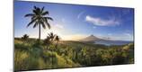 Photographic Print
