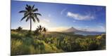 Photographic Print