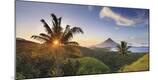 Premium Photographic Print