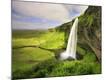 Photographic Print