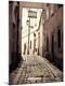 Photographic Print