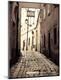Photographic Print
