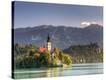 Stretched Canvas Print