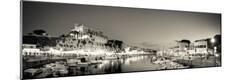 Photographic Print
