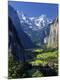 Photographic Print